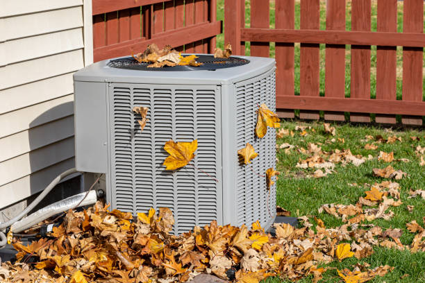Best HVAC installation services  in Ome, GA